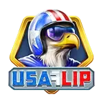 USA Flip game icon